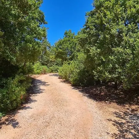 La Terrazza Bed & Breakfast 3*