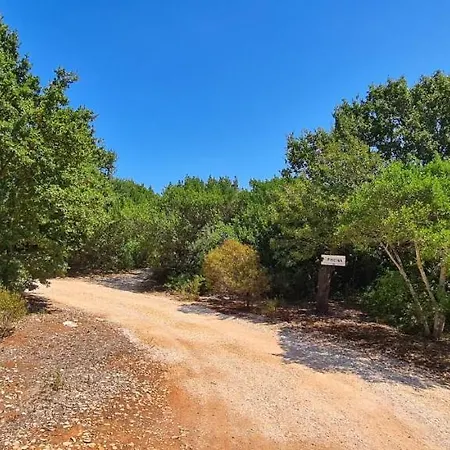 La Terrazza Bed & Breakfast Cisternino